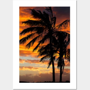 Tropical Silhouette Posters and Art